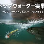 冬のトップウォーターで水面下からルアーに迫る大型バスの水中スプリット写真