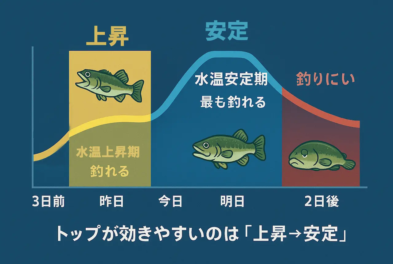 冬トップ成立に重要な水温のプライマリー推移を示す図