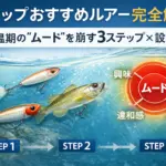 冬トップおすすめルアー完全解説のアイキャッチ画像
