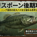 プリスポーン後期のブラックバス攻略｜スポーニング直前の大型メスを狙う思考と戦略