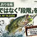 春のバス釣りは季節ではなくスポーニング進行段階を読むことが重要だと解説するアイキャッチ画像